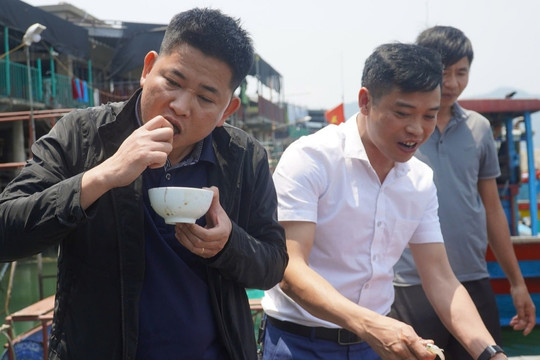 Đặc sản Vũng Áng vào mùa, bán tiền triệu một cân vẫn 'cháy hàng', khách ăn sống tại chỗ