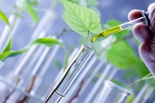 3 ngành học 'thầm lặng' nhưng đầy triển vọng, mức lương hấp dẫn, cơ hội việc làm rộng mở