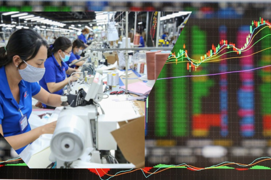Một câu nói của ông Trump khiến cổ phiếu ngành xuất khẩu 3,78 tỷ USD của Việt Nam tăng kịch trần