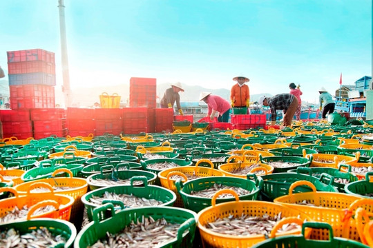 Phó Thủ tướng chỉ ra điều kiện tiên quyết để phát triển bền vững kinh tế biển