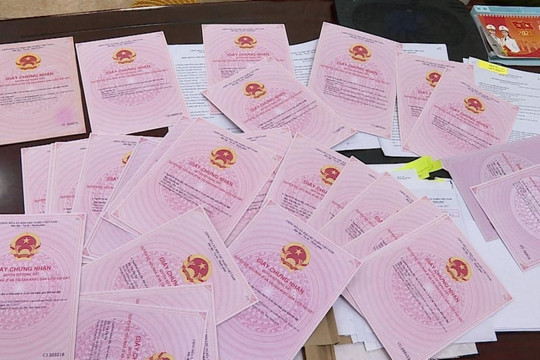 Đinh Hoài Nam chính thức bị tuyên phạt hơn 16 năm tù cho màn kịch thế chấp sổ đỏ