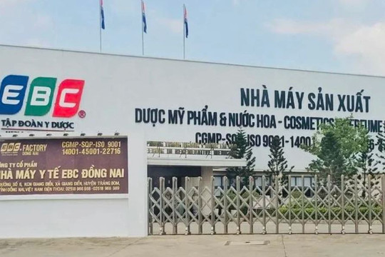 Vụ chồng Đoàn Di Băng làm sếp công ty bán hàng giả: Đối mặt hình phạt nào?