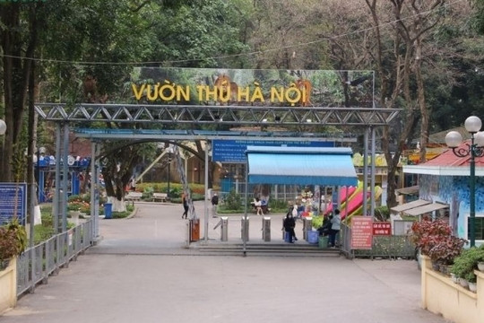 Là vườn thú duy nhất tại Hà Nội, Thủ Lệ 'hốt bạc' gần 48 tỷ nhờ bán vé vào cổng