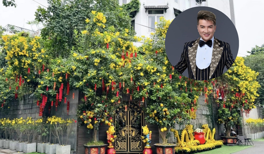 Nam ca sĩ Đàm Vĩnh Hưng bất ngờ rao bán biệt thự sang trọng 3 tầng giữa trung tâm TP. HCM