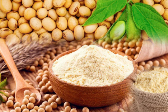 Đàm phán thuế quan vào giai đoạn nước rút, 2 doanh nghiệp Việt rót 700 triệu USD nhập khẩu nông sản Mỹ