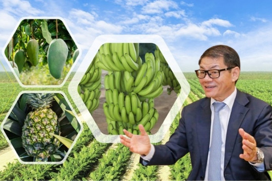 THACO AGRI của ông Trần Bá Dương ôm quỹ đất 84.000ha trải khắp Việt Nam, Lào, Campuchia, kỳ vọng sắp lãi lớn