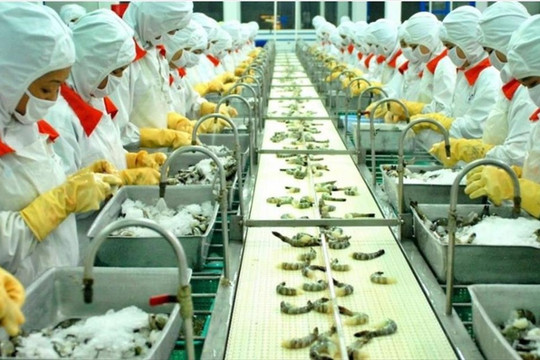 Việt Nam còn 31 ngày 'deal thuế' Mỹ: Xuất khẩu thủy sản chững lại trước giờ G, VASEP cảnh báo kịch bản xấu