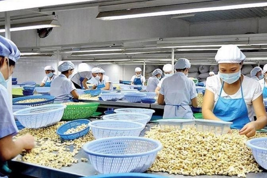 Một mặt hàng Việt Nam được Trung Quốc mê như điếu đổ, muốn sao chép không được, chỉ còn cách tăng cường thu mua