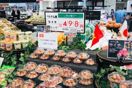 Việt Nam đang vào mùa loại quả ngọt lịm, giá rẻ bèo ở chợ quê, lên kệ Nhật bán hơn 300.000 đồng/kg