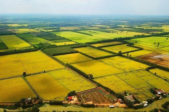 Đất nước 28 triệu dân dành hẳn 100.000ha đất cho doanh nghiệp Việt Nam đến đầu tư