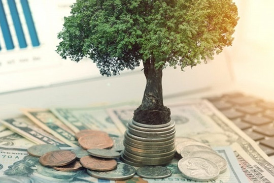 Lịch chốt quyền cổ tức bằng tiền của 5 doanh nghiệp, cao nhất 435%