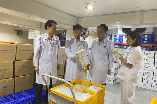 Indonesia nhập khẩu vắc xin dịch tả lợn châu Phi của Việt Nam