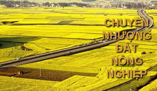 Theo Luật mới nhất, điều kiện chuyển nhượng đất nông nghiệp có sự thay đổi lớn