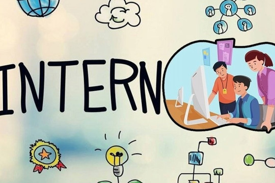 Một công ty tại TP. HCM: Thực tập sinh phải trả 3 triệu để... đi làm không lương