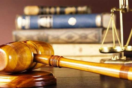 Khởi tố vụ án liên quan Công ty Hoàng Long