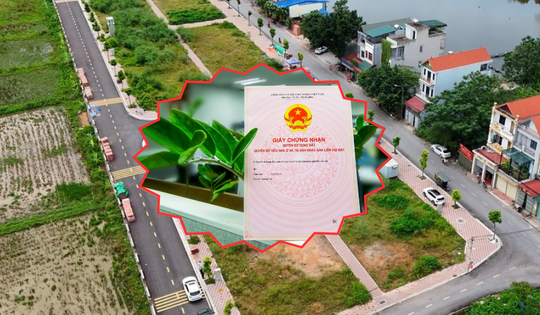 Kể từ nay, đất không sổ đỏ khi bị thu hồi sẽ được bồi thường nếu đáp ứng điều kiện này