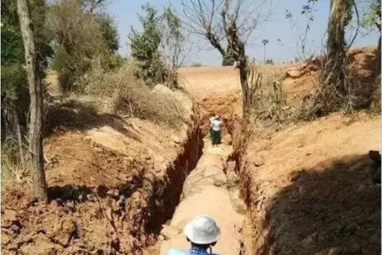Phát hiện khúc gỗ 'báu vật' gần 700 tỷ, cảnh sát khẩn cấp phong tỏa hiện trường