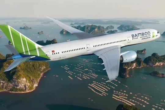 Chủ tịch Bamboo Airways xin từ nhiệm