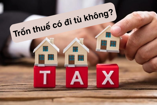 11 hành vi bị xem là trốn thuế