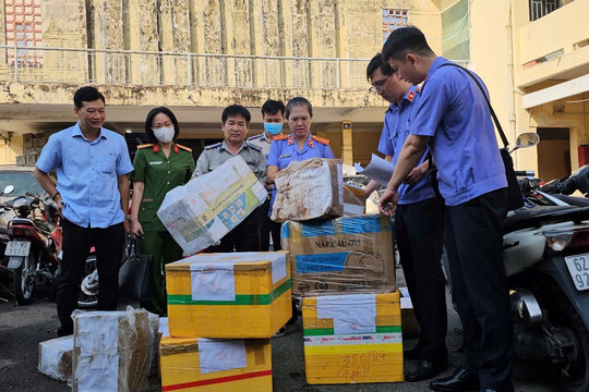 TP. Hồ Chí Minh tiêu hủy hơn nửa tấn ma túy