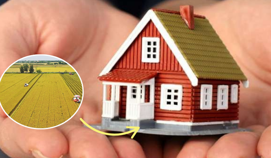 Kể từ nay, chuyển đất nông nghiệp sang đất thổ cư cần đặc biệt chú ý điều này