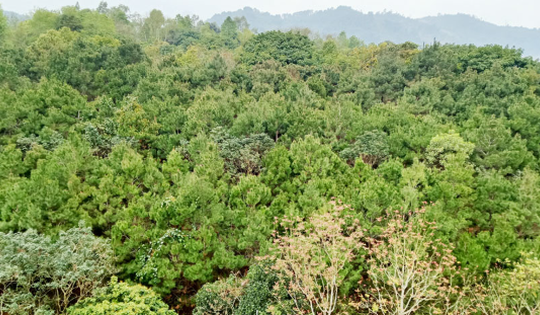 Vùng đất sở hữu ‘Thụy Sĩ của Việt Nam’ sắp hình thành 11 điểm phát triển du lịch sinh thái, nghỉ dưỡng, giải trí