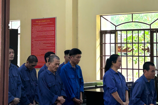 Tuyên án bà nội trợ Hoàng Thị Thanh Hương và chồng