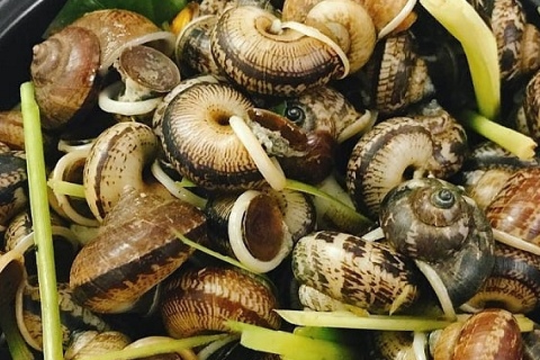 Từ món quà sau mưa đến đặc sản phố thị: 'Lộc trời' giá tới 100.000 đồng/kg, vị lạ miệng, hút khách sành ăn