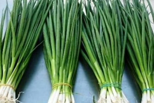 Ít ai ngờ loại gia vị quen thuộc là 'kháng sinh xanh' tốt cho phổi, đường hô hấp: Giá rẻ, dễ tìm ở chợ Việt