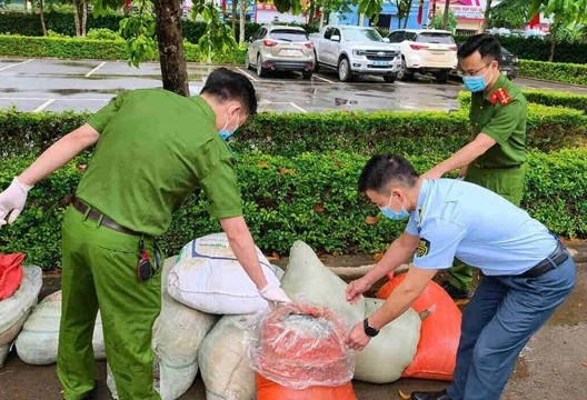Sơn La: Xe khách chở 883kg nội tạng động vật hôi thối bị phát hiện trên đường mang đi tiêu thụ