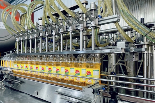 Doanh nghiệp đứng sau nhãn hiệu Ofood hô biến chục nghìn tấn dầu chăn nuôi thành dầu ăn cho người