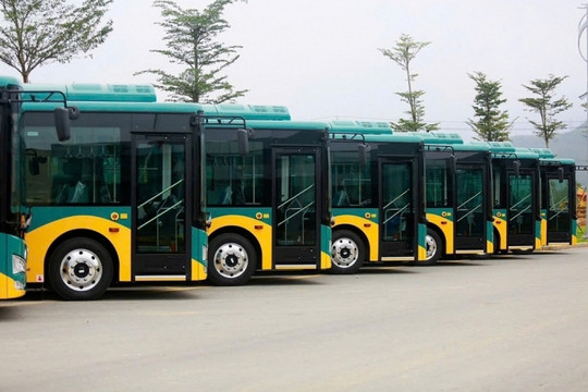 Phương Trang vừa trúng gói thầu lớn tại TP. HCM, được khai thác 557 xe buýt