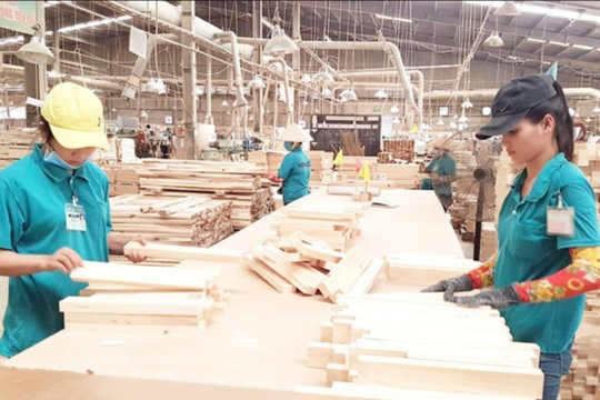 Hoa Kỳ đang điều tra một loạt sản phẩm gỗ, ván ép Việt Nam và có thể áp dụng đồng thời 3 loại thuế