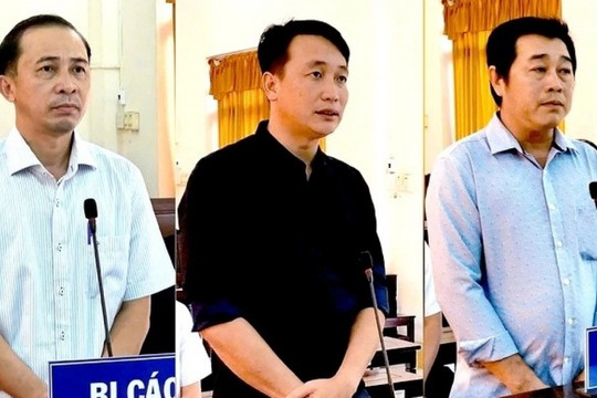Sai phạm nghiêm trọng khi cấp đất gây thiệt hại gần 10 tỷ đồng, 3 cán bộ của TP lãnh án