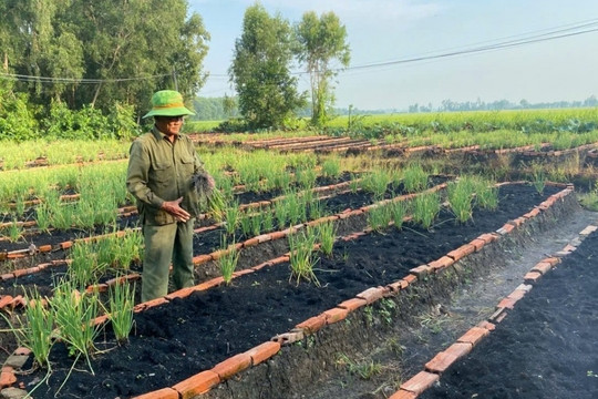 Nông dân Tây Ninh trồng thứ rau theo kiểu ‘độc lạ’, từng bị hoài nghi về sau cả xóm phải khen nức nở, thu nhập hiện tại rất cao