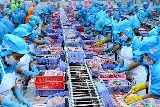 Thủy sản Việt Nam đang đứng ngoài 'bữa tiệc' tỷ đô Halal chỉ vì một con dấu