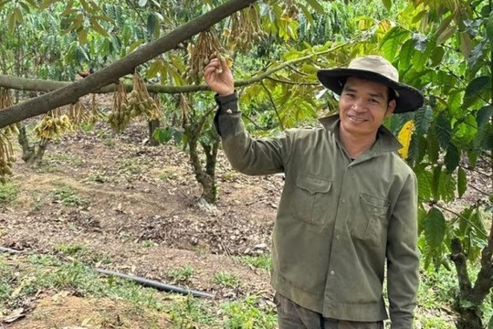 Nông dân Lâm Đồng trồng ‘cây tỷ đô’ theo kiểu ngược đời, giờ được vinh danh, sống nhàn tênh thu nhập 4 tỷ/năm