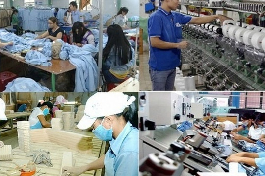 Phấn đấu năm 2025, tỷ trọng đóng góp của khu vực kinh tế tư nhân vào GDP đạt 51-52%