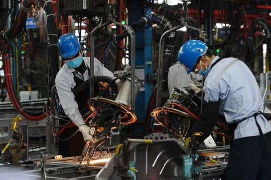 Doanh nghiệp châu Âu phàn nàn về 'rào cản' thủ tục hành chính