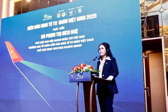 Hội doanh nhân đóng góp 40 tỷ USD cho Việt Nam: 'Tư nhân không xin đặc quyền, chỉ mong môi trường minh bạch'