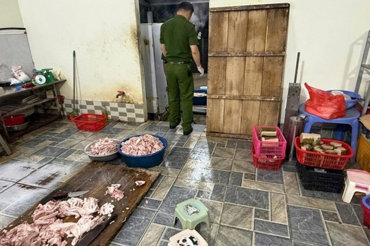 Khởi tố 2 chủ cơ sở chế biến hơn 400kg giò chả chứa 'chất cấm'