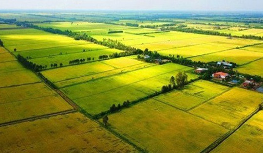 5 trường hợp chuyển mục đích sử dụng đất không cần xin phép theo luật mới nhất