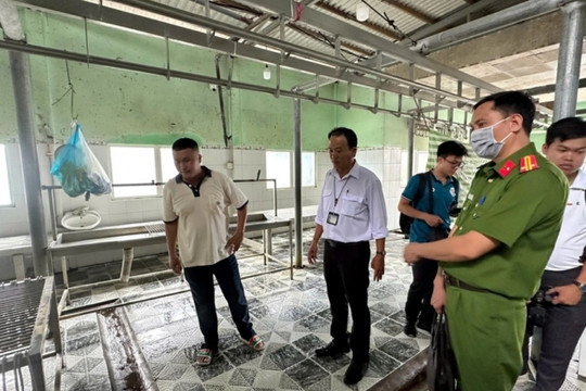 Vụ thịt heo C.P. Việt Nam: Nhân viên đóng dấu kiểm dịch sai bị kỷ luật, chuyển nhiệm vụ công tác