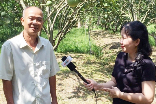 Nông dân Vĩnh Long nhổ lúa, trồng cây ra trái quanh năm, Trung Quốc rất chuộng: Thu nhập 1,2 tỷ đồng/năm