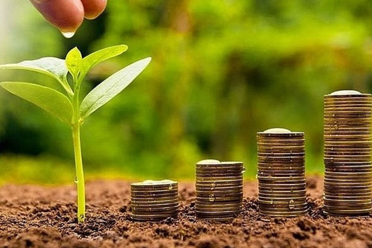 Điểm danh 4 doanh nghiệp sắp trả cổ tức bằng tiền tỷ lệ từ 30 - 110%