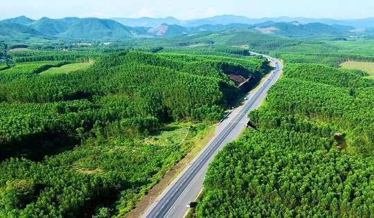 Chiêm ngưỡng tuyến cao tốc duy nhất qua 'kho báu' sinh học quốc gia của Việt Nam vừa khởi công