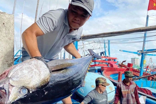 Những 'mỏ vàng' mới được khai phá để xuất khẩu