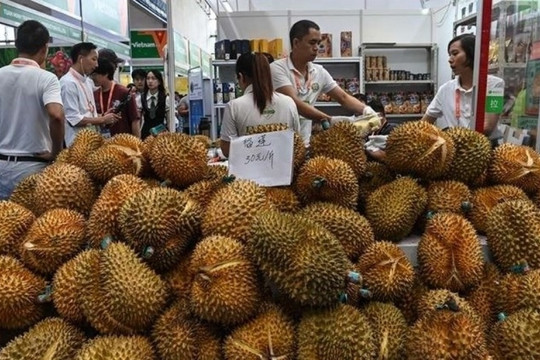 112 trang trại của láng giềng Việt Nam được xuất khẩu sầu riêng sang Trung Quốc