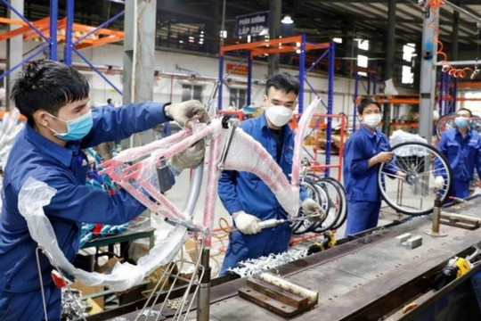 Gần 22% doanh nghiệp gặp khó khăn do không đủ sức cạnh tranh với hàng nhập khẩu