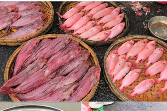 Cá 'nhuộm phẩm' ở Đà Nẵng, người bán giải thích là do được rửa bằng nước ngọt Sting